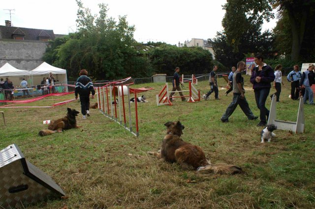 foire-haricots 2011-09-17et18